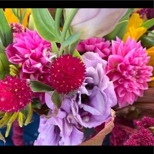 Meet your Posher, Danielle